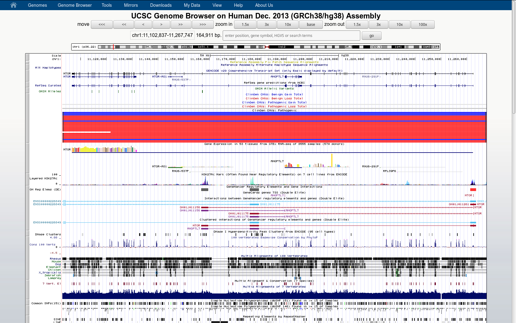 Screenshot UCSC Genome Browser